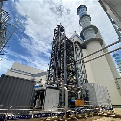 탄소 포집 플랜트 개발에 있어 국제 협력 기회는 무엇입니까?